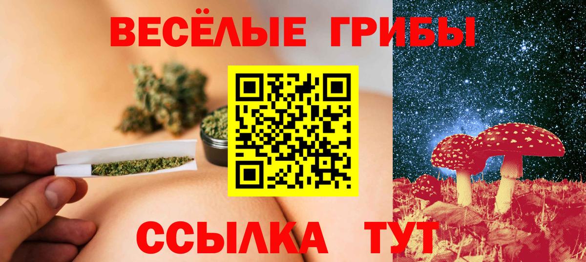 купить закладку  Галлюциногенные грибы Magic Shrooms  Дербент  Вход с VPN  Псилоцибиновые грибы мицелий 