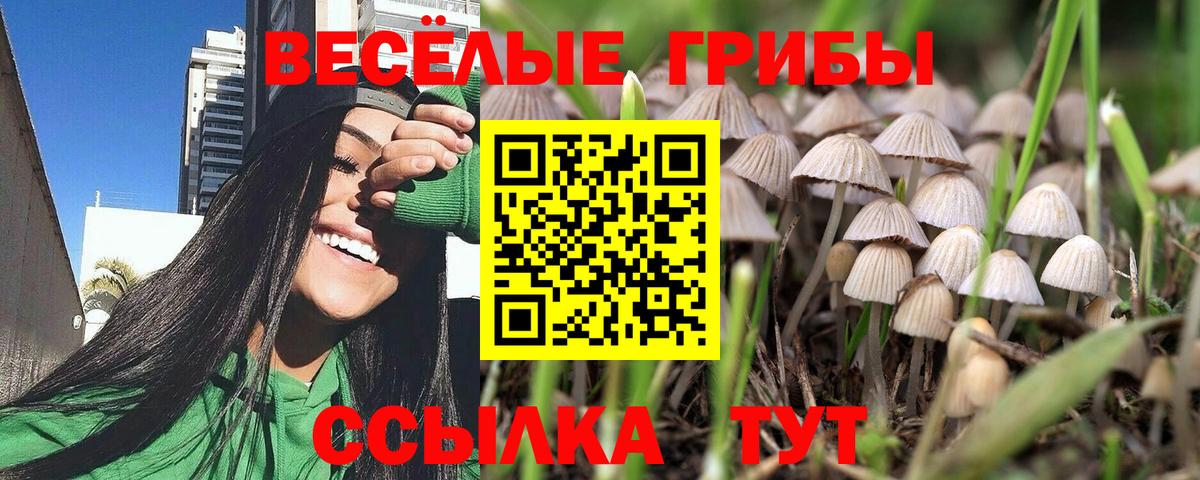 Псилоцибиновые грибы мухоморы Дербент