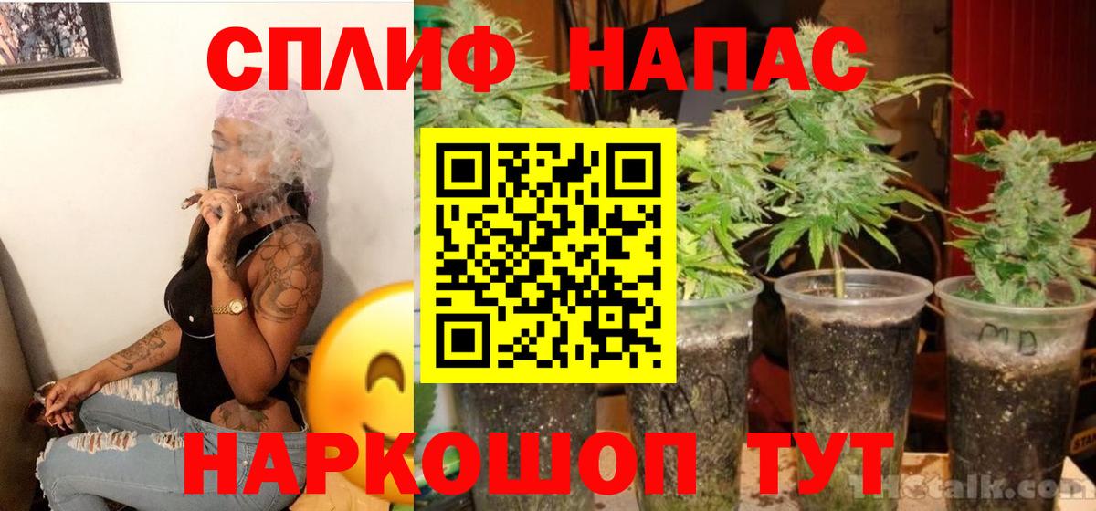 Бошки Шишки планчик  Марихуана план  Дербент  Вход с VPN  Каннабис LSD WEED 